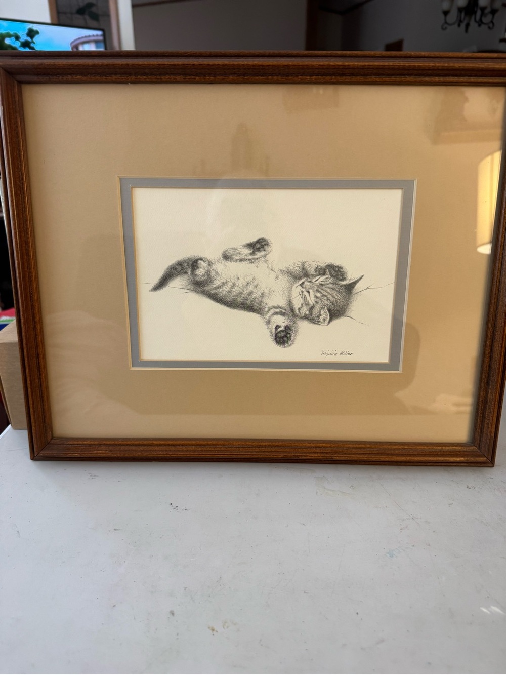 Sleeping Cat Sketch Wall Art - Beige Mat with Brown Frame